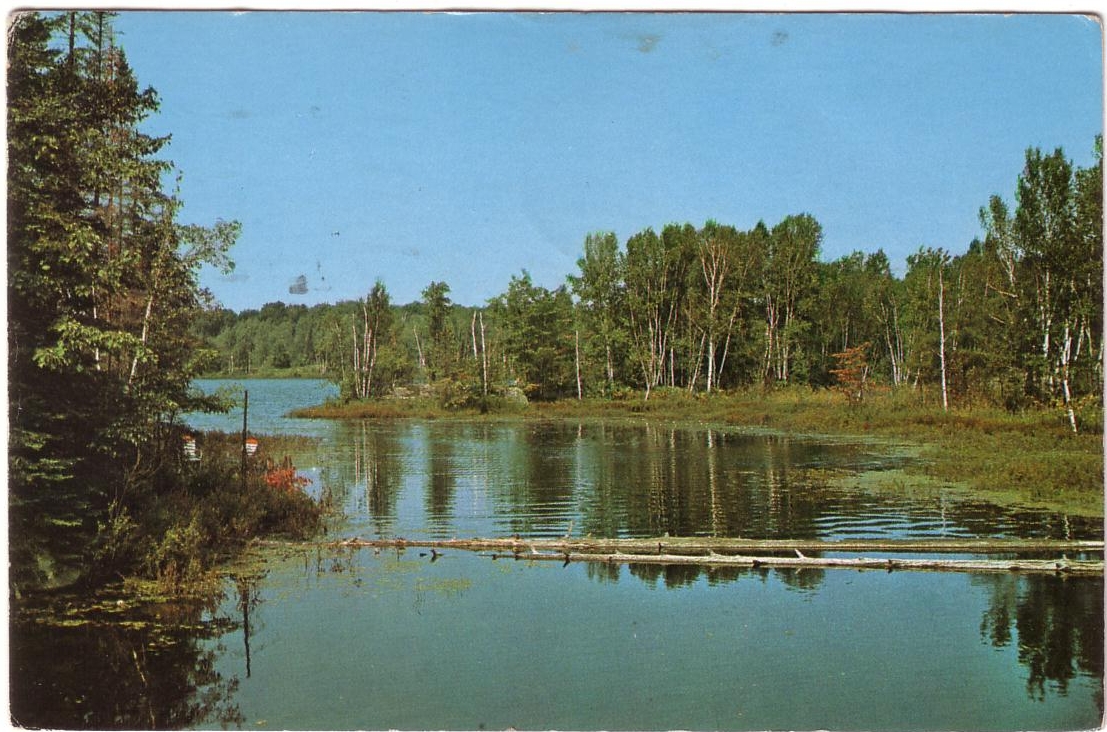 River Scene postcard
